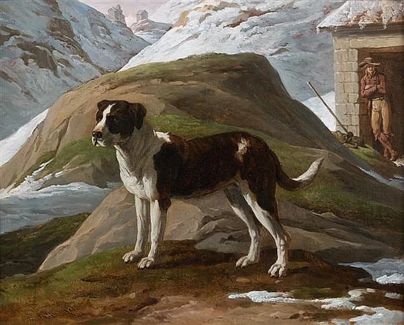 Cane in alta montagna - attribuito